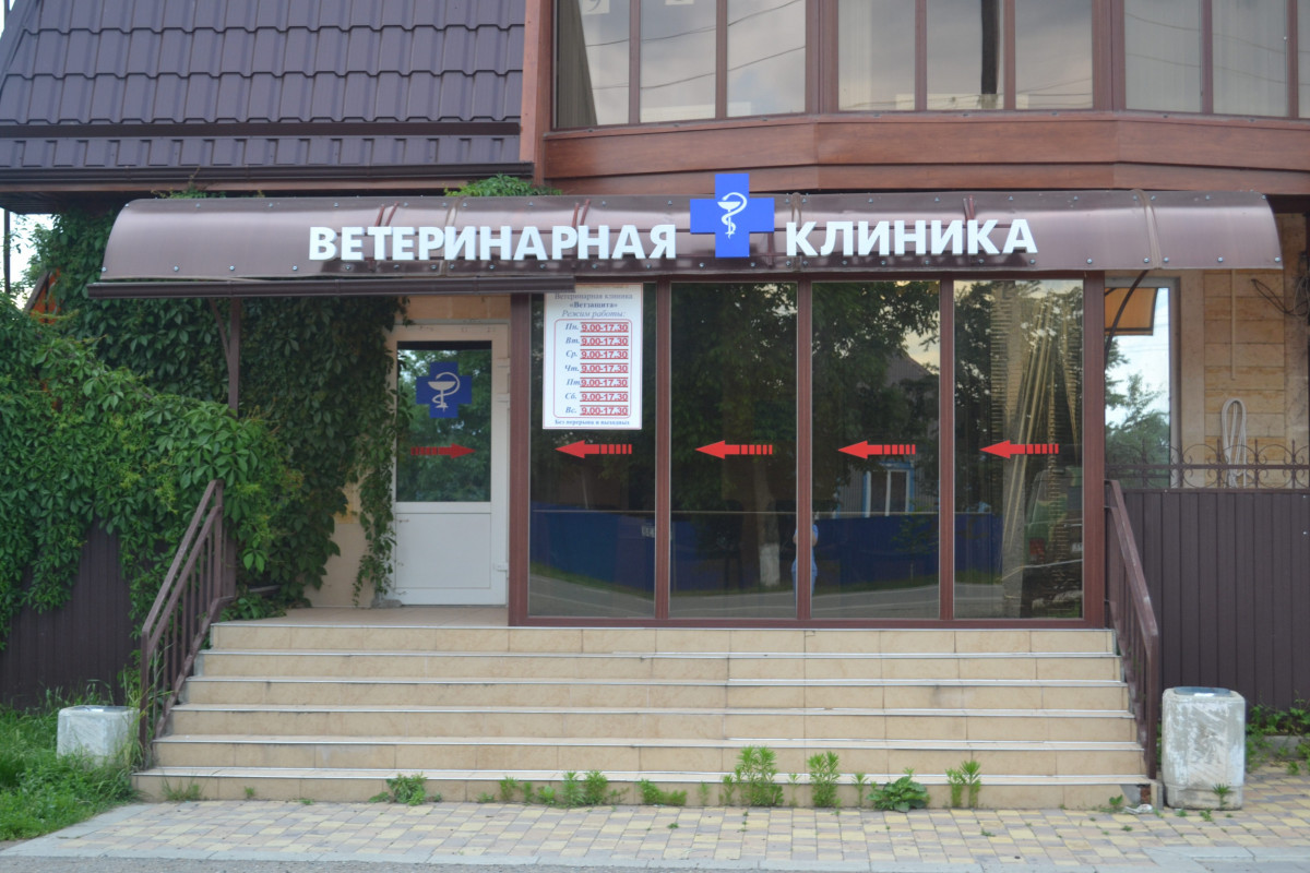 veterinarnaya-klinika-Belorechensk